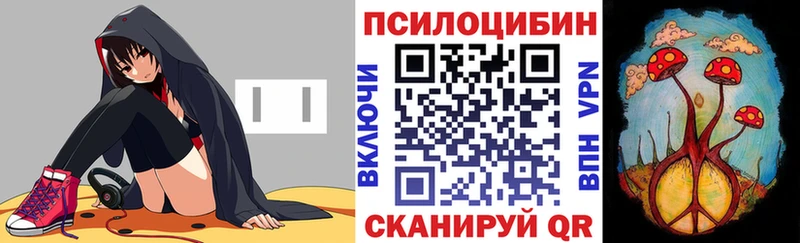Псилоцибиновые грибы Psilocybe  даркнет сайт  Гулькевичи 